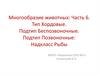 Многообразие животных.Часть 6. Тип Хордовые. Подтип Беспозвоночные. Подтип Позвоночные. Надкласс Рыбы. ОГЭ