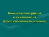 Биологические ритмы и их влияние на работоспособность человека