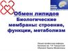 Обмен липидов. Биологические мембраны: строение, функции, метаболизм
