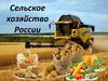 Сельское хозяйство России. Доля России в сельском хозяйстве