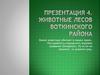Животные лесов Воткинского района