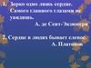 Рассказ Л. Андреева «Кусака»