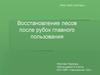 Восстановление лесов после рубок главного пользования