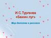 Мир детства в рассказе И.С. Тургенева «Бежин луг»