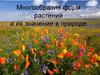 Многообразие форм растений и их значение в природе