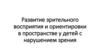 Развитие зрительного восприятия и ориентировки в пространстве у детей с нарушением зрения