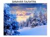 Зимняя палитра