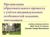 Организация образовательного процесса с учётом индивидуальных особенностей младших школьников