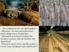 Древний Китай. Терракотовая армия
