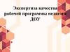 Экспертиза качества рабочей программы педагога ДОУ