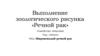 Выполнение зоологического рисунка «Речной рак»