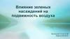 Влияние зеленых насаждений на подвижность воздуха