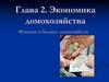 Экономика домохозяйства. Функции и бюджет домохозяйства