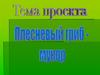 Плесневый гриб - мукор