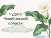 Чудеса Челябинской области