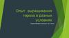 Опыт выращивания гороха в разных условиях