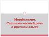 Система частей речи. Имя существительное