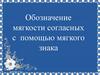 Обозначение мягкости согласных с помощью мягкого знака
