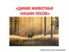«Дикие животные наших лесов»