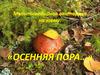 Мультимедийная викторина на тему: «осенняя пора…»