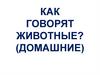 Как говорят домашние животные