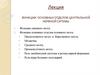 Функции основных отделов центральной нервной ситемы