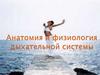 Анатомия и физиология дыхательной системы