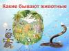 Какие бывают животные