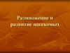 Размножение и развитие насекомых