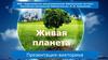 Презентация-викторина. Живая планета