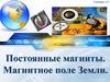 Постоянные магниты. Магнитное поле Земли