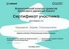 Чернышов Вадим Геннадьевич. Сертификат участника