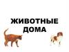 Животные дома