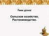 Сельское хозяйство. Растениеводство