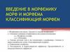 Введение в морфемику морф и морфема классификация морфем