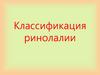 Классификации Ринолалии