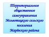 Территориальное общественное самоуправления Молвотицкого сельского поселения