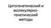 Цитогенетический и молекулярно-генетический методы