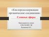 Кислородсодержащие органические соединения. Сложные эфиры