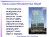 Организация Объединенных Наций (ООН)