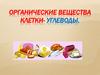 Органические вещества клетки - углеводы