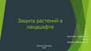 Защита растений в ландшафте