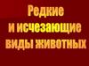Красная книга. Редкие и исчезающие виды животных