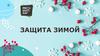 Защита зимой