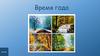 Времена года