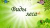 Виды леса
