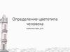 Определение цветотипа человека