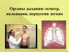 Органы дыхания: осмотр, пальпация, перкуссия легких