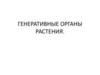 Генеративные органы растения. Тема № 3