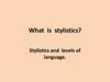 What is stylistics?